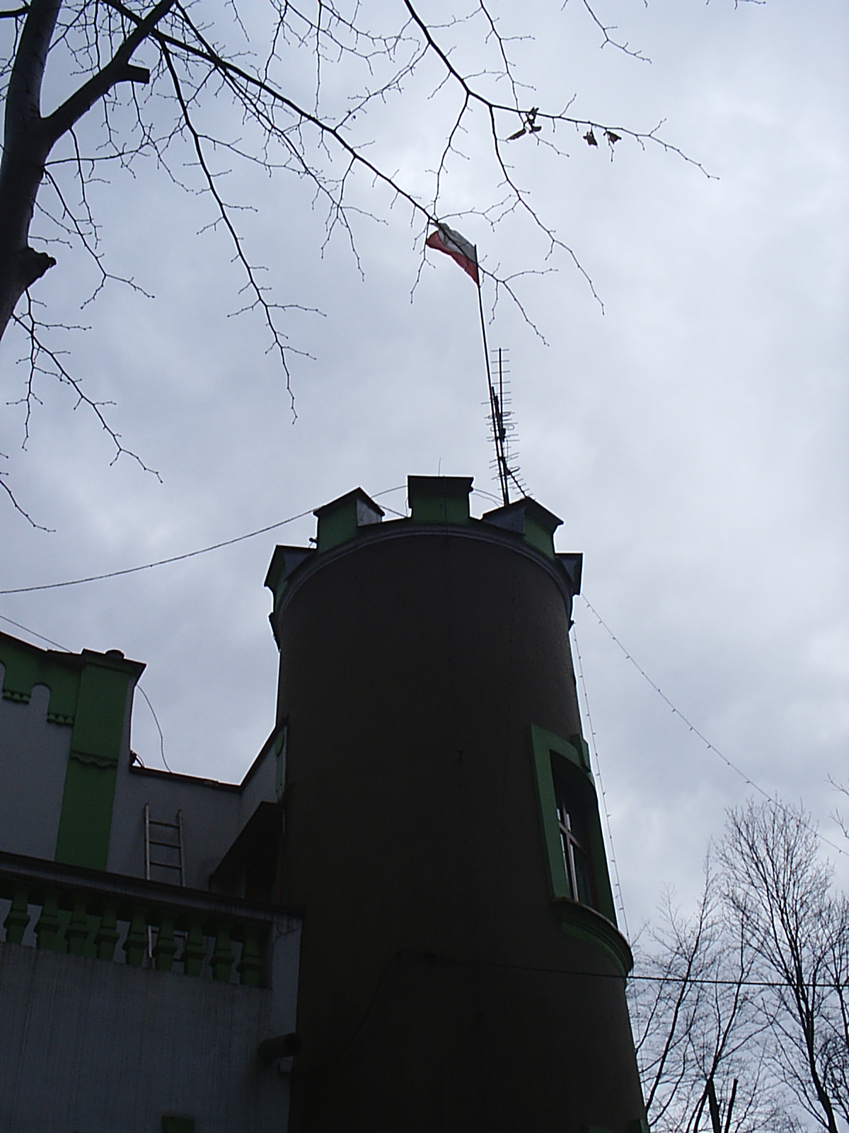 You are currently viewing Mardi Gras Masks: Forbidden Reunion in Elite Shadows